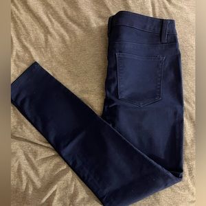 Design Lab Navy Blue Pants